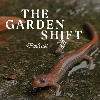 Gardening Grant- Educating through Social Media
