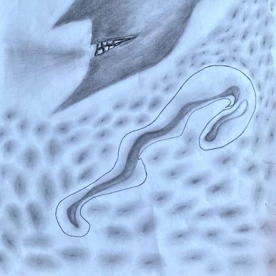 Bedtime stories: The announcement