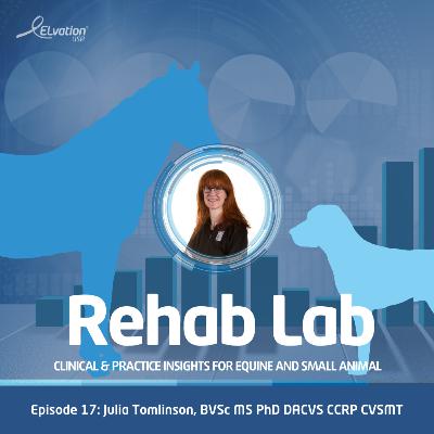 Episode 17: Julia Tomlinson, BVSc MS PhD DACVS CCRP CVSMT