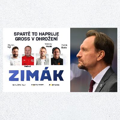 ZIMÁK | Kdo odnese bídu Sparty? Hodně hokeje = víc zranění a míň gólů