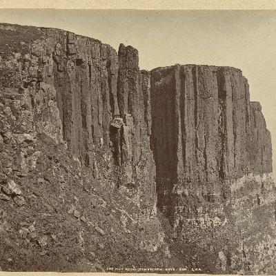 Aflevering 55: Herwildering Aflevering 55: Herwildering