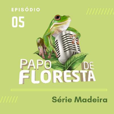 Concessões florestais na prática