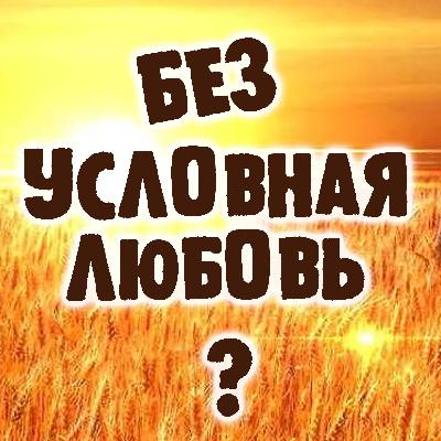 Условия любви или любовь без условий? Александр Ковальчук 💬 Психолог Отвечает Условия любви или любовь без условий? Александр Ковальчук 💬 Психолог Отвечает