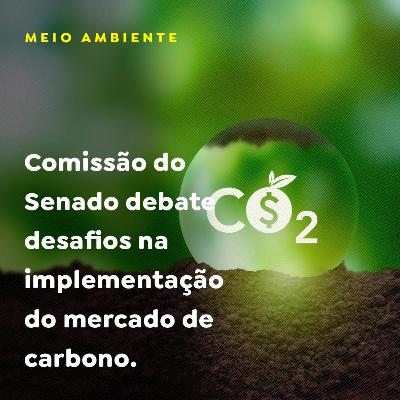 Comissão do Senado debate desafios na implementação do mercado de carbono