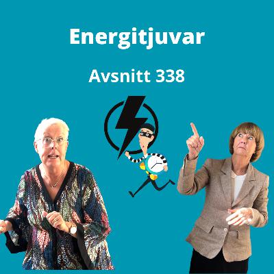 Avsnitt 338, energitjuvar