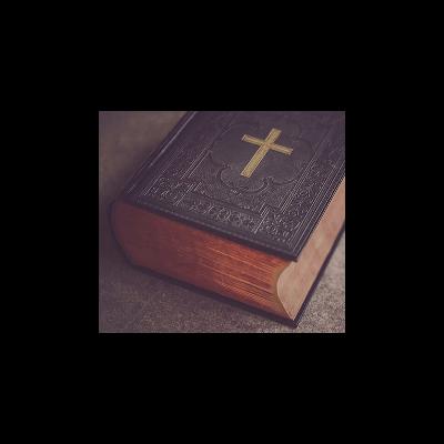 Single or not to be Single Single or not to be Single