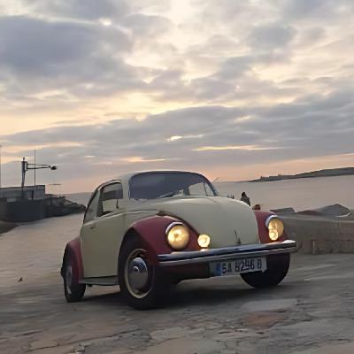 La historia del VOLKSWAGEN Escarabajo y cómo restaurarlo La historia del VOLKSWAGEN Escarabajo y cómo restaurarlo