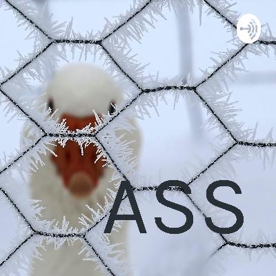 Autismespectrumstoornis