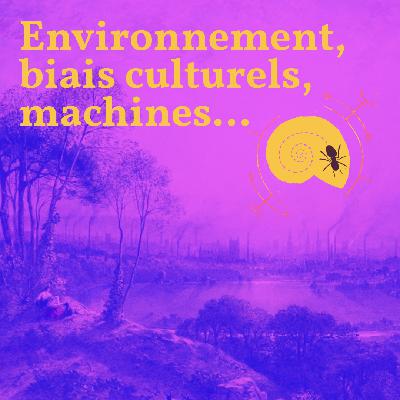 Épisode spécial : Environnement, biais culturels, machines… Une réponse à vos remarques Épisode spécial : Environnement, biais culturels, machines… Une réponse à vos remarques