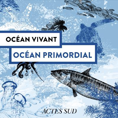 Océan Primordial - Océan Vivant - Épisode 1/6