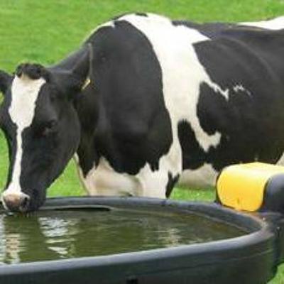 Heat Stress & Nutrition and Water: Part 4 Water Recommendations