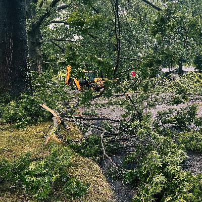 Steps to Take After Storm Damage, Attic Inspection Process, Growing Demand for Outdoor Space Projects Steps to Take After Storm Damage, Attic Inspection Process, Growing Demand for Outdoor Space Projects