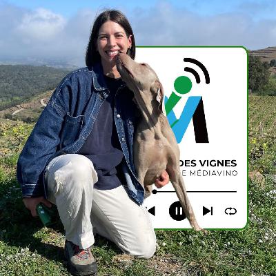 Collioure I Domaine Léah Anglès I Léah Anglès, entre doutes et convictions, le parcours d'une jeune vigneronne (extrait)