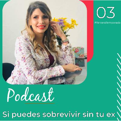 E3/T3: Sí puedes sobrevivir sin tu ex. E3/T3: Sí puedes sobrevivir sin tu ex.