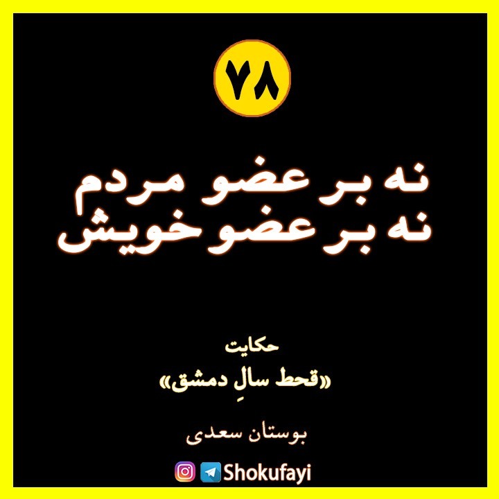 نه بر عضو مردم، نه بر عضو خویش