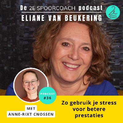 #36 - Anne-Rixt Cnossen - Zo gebruik je stress voor betere prestaties