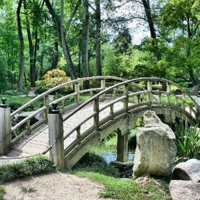 Buddhistisk meditation - 2 timmar ☸️🧘 Buddhistisk meditation - 2 timmar ☸️🧘