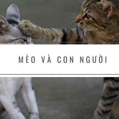 #19 Mèo và con người | Vietnamese Shadowing | Học Tiếng Việt