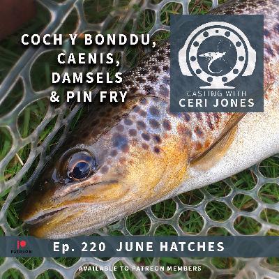 Casting With Ceri Jones : Ep. 220 June Hatches