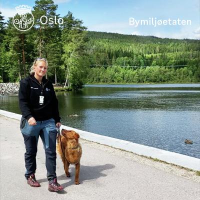 Sognsvann med skogoppsynsleder Karianne