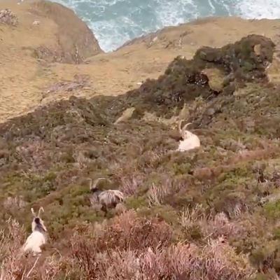 Áilleacht na Timpeallachta agus Fiaghabhair le Fána! Comhrá le Dara Ó Cinnéide