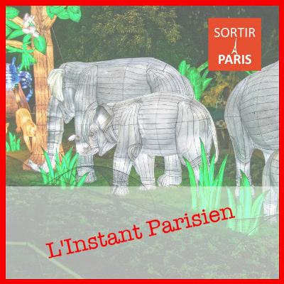 L'Instant Parisien, épisode 12 : Jungle en voie d'illumination et Mosaicafé L'Instant Parisien, épisode 12 : Jungle en voie d'illumination et Mosaicafé