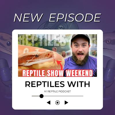 REPTICON REPTILE SHOW JACKSONVILLE RECAP | Reptiles With (Reptile Podcast)