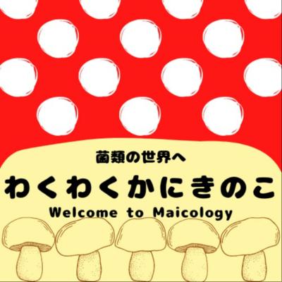 【ライブコーディング】テスト駆動開発でチャットワークBOTをつくる#1