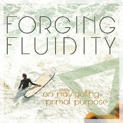 Fed Up & Fired Up – Shifting from Scarcity to Abundance