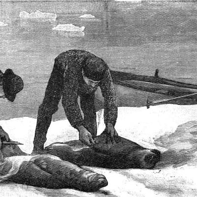 PREVIEW: "EMBERS OF THE HANDS: HIDDEN HISTORIES OF THE VIKING AGE" BY ELEANOR BARRACLOUGH answers the question, why did the Norsemen go "viking"? More to come.
