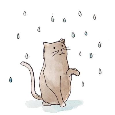 Cat In The Rain