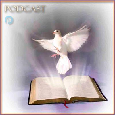 Lectio Divina del 17 Maggio 2020 a cura di don Domenico Luciani