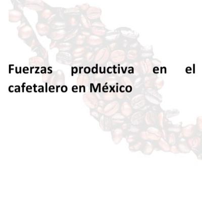 Historia del café en México