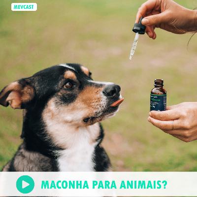 #015 Maconha para animais? #015 Maconha para animais?