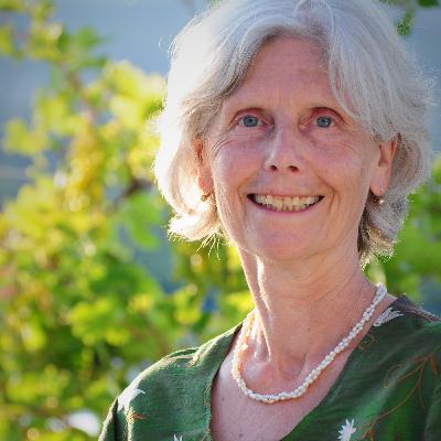 Impuls für den Tag am 19.11. mit Christine Hubka