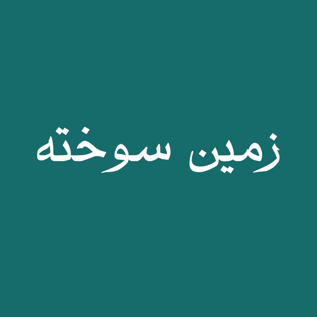 جنسیت و جنگ زمین سوخته