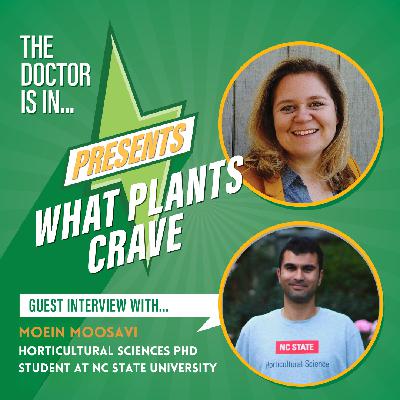 95. What Plants Crave feat. Moein Moosavi: Steering Strawberry Propagation with Light and Temperature 95. What Plants Crave feat. Moein Moosavi: Steering Strawberry Propagation with Light and Temperature