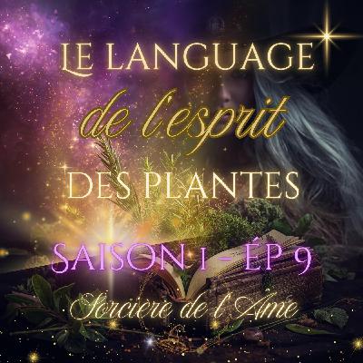 S1 - Ep 9 : Le language de l'esprit des plantes S1 - Ep 9 : Le language de l'esprit des plantes