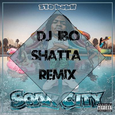 310 Babii - Soak City (Dj IBO Remix)