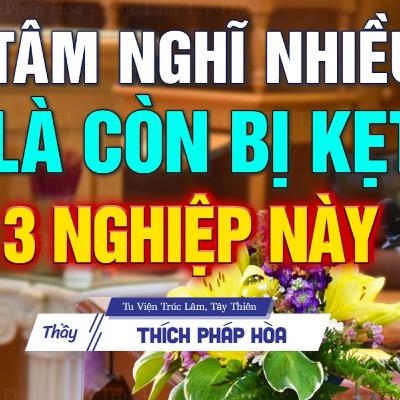 Người tâm hay loạn suy nghĩ lung tung là còn kẹt vào 3 nghiệp này - Thầy Thích Pháp Hòa