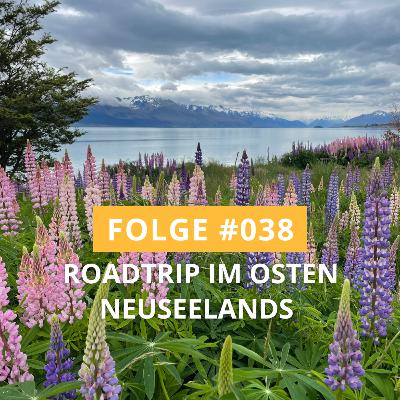 #038 | 🦭 Roadtrip an der Ostküste Neuseelands 🇳🇿 🚙 – Seelöwen, südlichster Punkt und Camperlife | Weltreise – Backpacking – Reisebericht 🗺