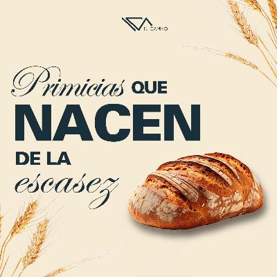Primicias que nacen de la escasez | Diego García