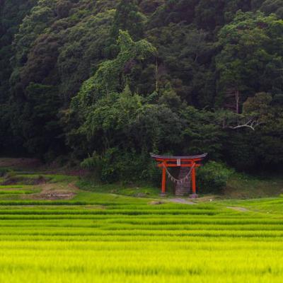 Verso del Kesa - Dai Sai Geda Puku - 搭袈裟偈