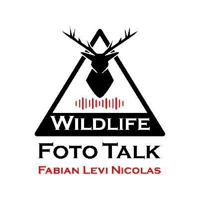 Libellen im Flug filmen & Neuankündigungen von Nikon & Canon