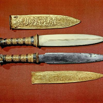 Dague, obésité et petit cheval tatar