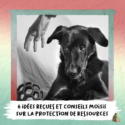 9. Six idées reçues et conseils moisis sur la protection de ressources 🐊