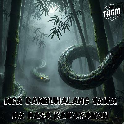 Episode 261 : Mga Dambuhalang Sawa Na Nasa Kawayanan