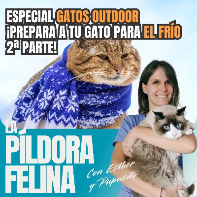 567. Especial gatos OUTDOOR ¡Prepara a tu gato para el frío 2ª parte! 567. Especial gatos OUTDOOR ¡Prepara a tu gato para el frío 2ª parte!