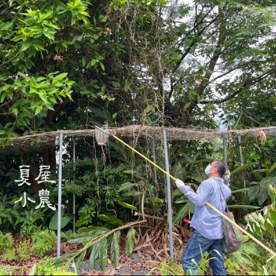 S1E5 吃貨天堂在園裡,Discovery帶你爽退休 #二八水菓園 施世己 S1E5 吃貨天堂在園裡,Discovery帶你爽退休 #二八水菓園 施世己