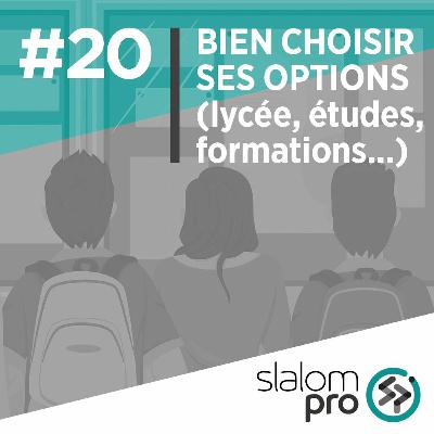 Bien choisir ses options (lycée, études, formations...) Bien choisir ses options (lycée, études, formations...)